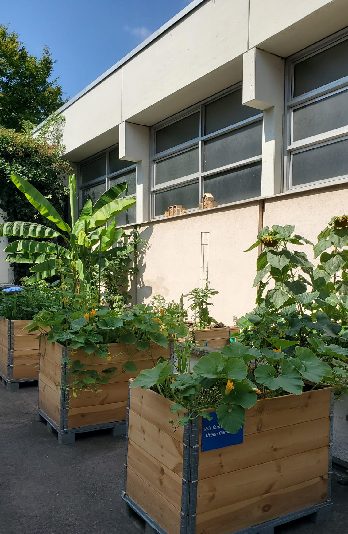 URBAN GARDENING